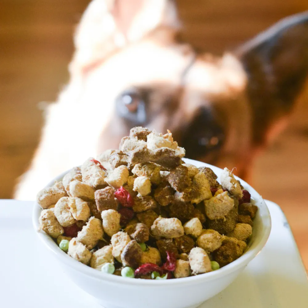 The Simple Food Project Synthetic Free Freeze Dried Dog Food, Duck & Trout Recipe